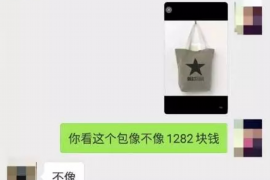 府谷企业清欠服务